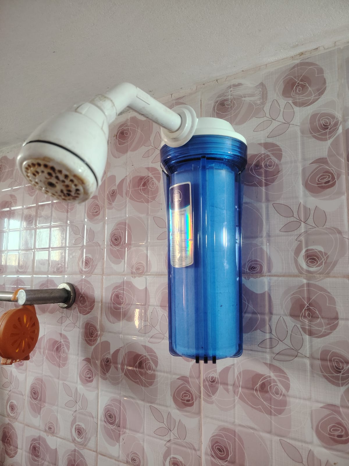 Mini Iron Removal Shower Filter – Best Shower Iron Filter in Khulna