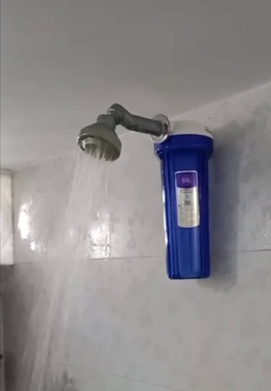 Mini Iron Removal Shower Housing Filter